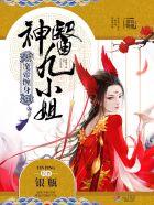 魔帝缠身神医九小姐银瓶全本