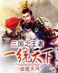 三国之一统天下攻略