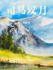 汉朝司马