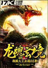 龙魂有什么