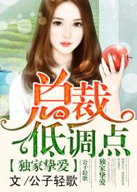 总裁低调点无删减