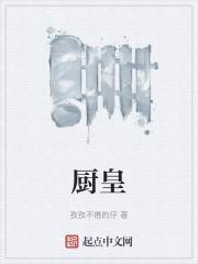 厨皇子油烟机生产厂家地址