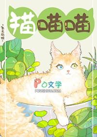 捡到流浪猫好吗?