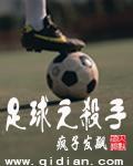 足球之杀手 聚合中文网