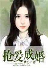 嫁爱txt