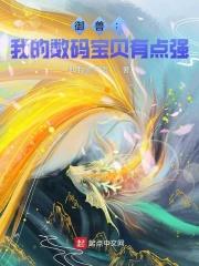 我的数码宝贝续