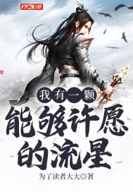 我有一颗能够许愿的流星歌词