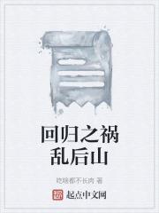 回归之子