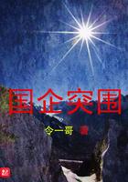 国企突围 第21章