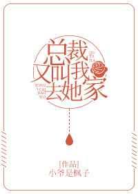 总裁又叫我去她家 gl