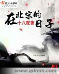 在北宋的日子十八夜