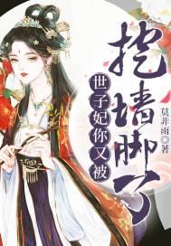 世子妃有人挖你墙角了