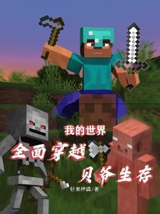 我的世界贝爷生存系列视频