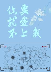 你就不该爱上我