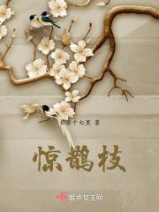 惊鹊枝第四十三章