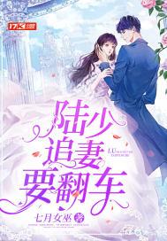 陆少追妻慢慢