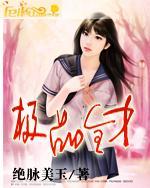 极品全才神婿全文免费阅读