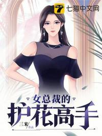女总裁的护花高手网剧