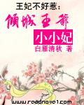 王妃不好惹倾城王爷小小妃