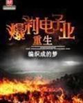 重生爆利电子业无弹窗
