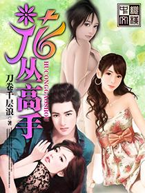 都市护花高手