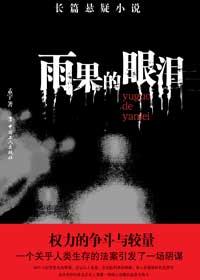 雨果讲了什么故事