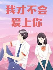 我才不会爱上你歌词