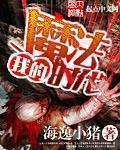 我的魔法时代番外