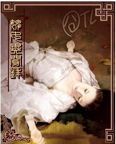 婢女异闻录讲的什么