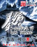 秦国之纵横天下电视剧