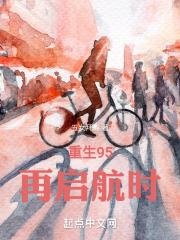 重生启航当风起时