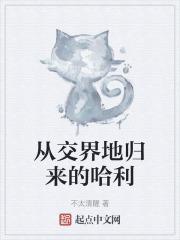 从交界地归来的哈利晋江