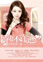 娇妻不可欺 小锐