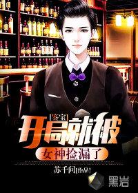 鉴宝捡漏系统