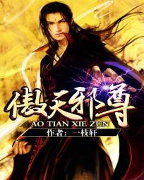 傲天邪尊宁无痕最新章节更新内容