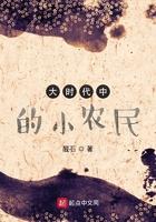 大时代中的小农民桑柏