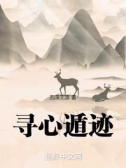 寻心启示