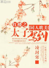 红楼太子宠妻