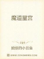 魔道星宫后续