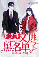 陆先生又进黑名单了免费版