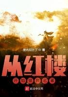 从红楼开始拯救名着TXT下书网