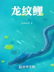 龙纹鲤几代最好