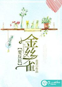 金丝雀驯养指南知乎