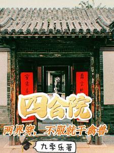 四合院一进