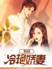 我的冷艳娇妻秦芷珊