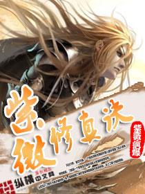 紫微斗数修道