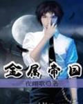 金属帝国 夜翊歌
