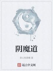阴铁 魔道祖师