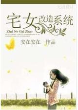 宅家系统