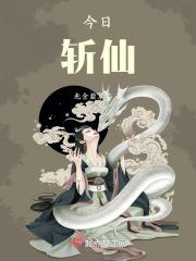 仙洋今日消息